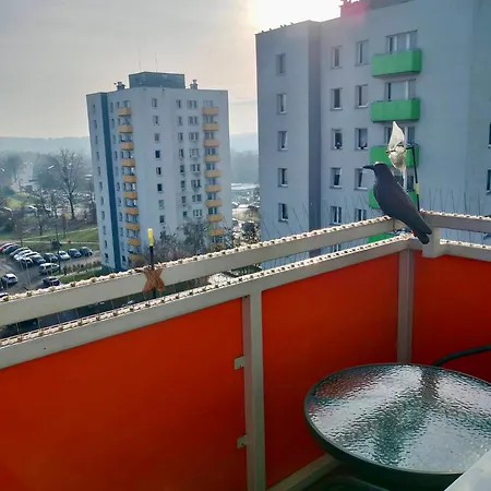 Manhattan Daire Tarnowskie Góry