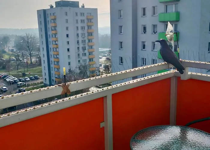 Manhattan Daire Tarnowskie Góry